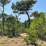 Maison Confortable A 300 M De La Plage, Animaux Acceptes - Fr-1-823-113 *