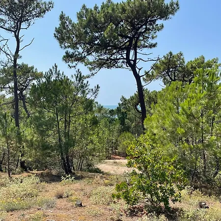 Maison Confortable A 300 M De La Plage, Animaux Acceptes - Fr-1-823-113 *