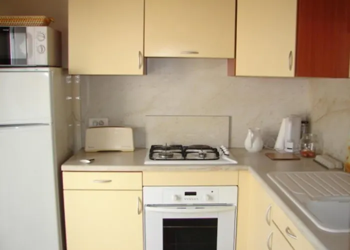 Maison Confortable A 300 M De La Plage, Animaux Acceptes - Fr-1-823-113 Nyaraló